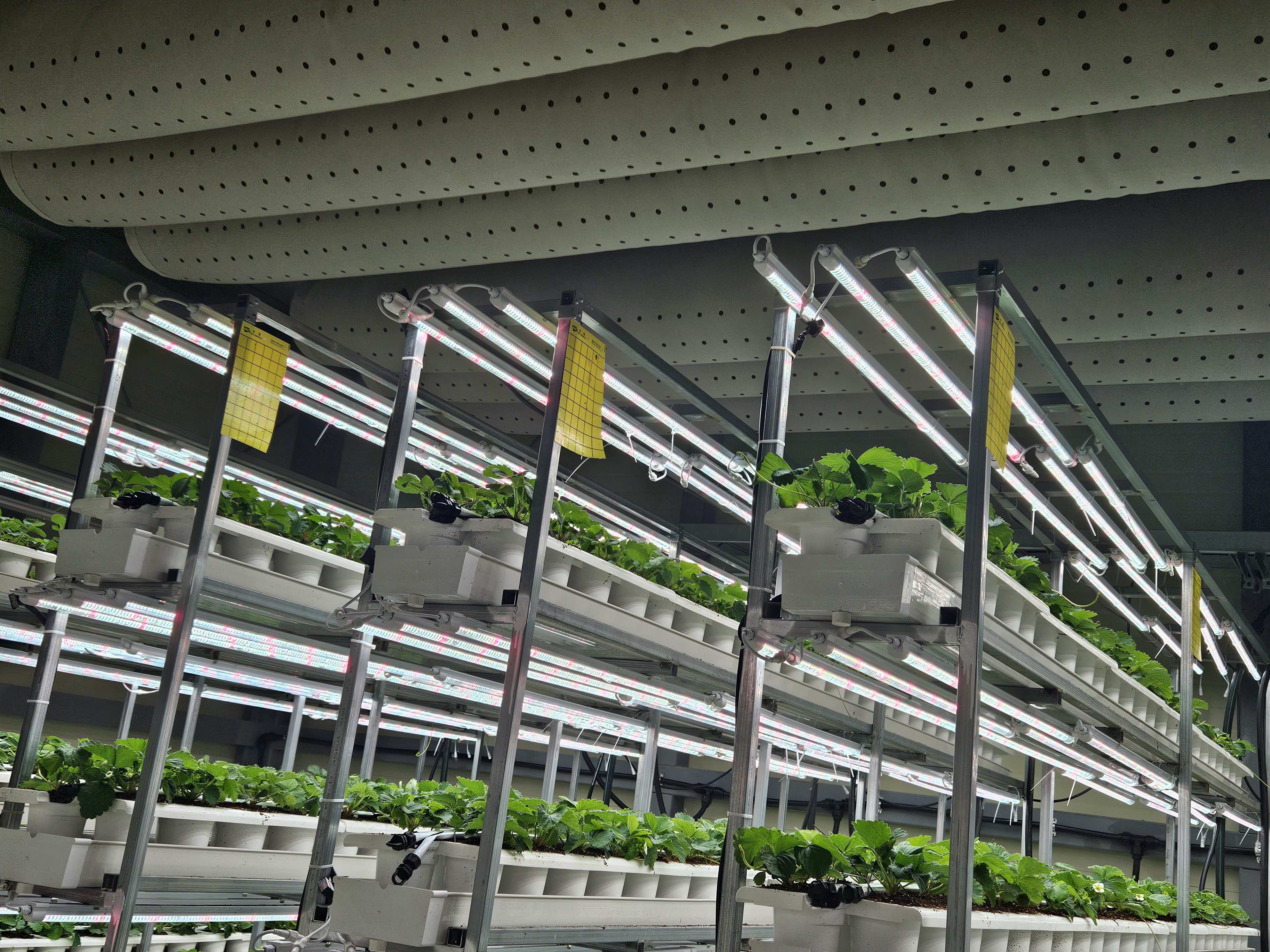 Fabric duct system in a food commissary and kitchen
